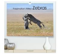 Faszination Afrika: Zebras (hochwertiger Premium Wandkalender 2026 DIN A2 quer), Kunstdruck in Hochglanz: Wie kein anders Tier vekörpern die Zebras die Tierwelt Afrikas