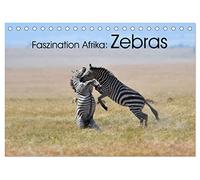 Faszination Afrika: Zebras (Tischkalender 2026 DIN A5 quer), CALVENDO Monatskalender: Wie kein anders Tier vekörpern die Zebras die Tierwelt Afrikas