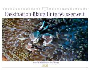 Faszination blaue Unterwasserwelt (Wandkalender 2026 DIN A4 quer), CALVENDO Monatskalender: Entdecke die Schönheit des Meeres in seiner wundersamen Farbenpracht und bizarren Formen