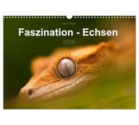 Faszination - Echsen (Wandkalender 2026 DIN A3 quer), CALVENDO Monatskalender: Wir staunen, wenn wir diese fremdartigen Wesen betrachten, die so wirken, als kämen sie aus einer anderen Welt.