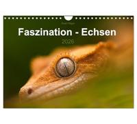 Faszination - Echsen (Wandkalender 2026 DIN A4 quer), CALVENDO Monatskalender: Wir staunen, wenn wir diese fremdartigen Wesen betrachten, die so wirken, als kämen sie aus einer anderen Welt.