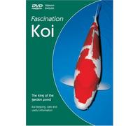 Faszination Koi - Der König des Gartenteichs