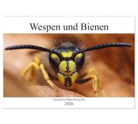 Faszination Makrofotografie: Wespen und Bienen (Wandkalender 2026 DIN A2 quer), CALVENDO Monatskalender: Wunderschöne Makroaufnahmen von Bienen und Wespen