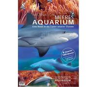 Faszination Meeres Aquarium (DVD) Simon Busch