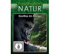 Faszination Natur - Faszination Natur - Gorillas im Kongo