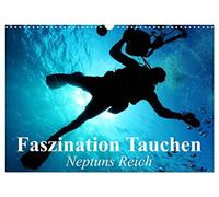 Faszination Tauchen - Neptuns Reich (Wandkalender 2026 DIN A3 quer), CALVENDO Monatskalender: Abenteuer in der faszinierenden Unterwasserwelt unserer Meere