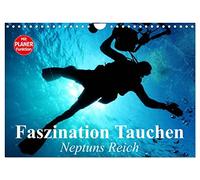 Faszination Tauchen. Neptuns Reich (Wandkalender 2026 DIN A4 quer), CALVENDO Monatskalender: Abenteuer in der faszinierenden Unterwasserwelt unserer Meere