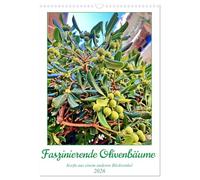 Faszinierende Olivenbäume (Wandkalender 2026 DIN A3 hoch), CALVENDO Monatskalender: Olivenbäume fotografiert auf Korfu unterschiedlichen Alters