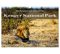 Faszinierende Tierwelt des Kruger National Parks (Wandkalender 2026 DIN A3 quer), CALVENDO Monatskalender: Die unglaubliche Artenvielfalt des Kruger National Parks fasziniert immer wieder!