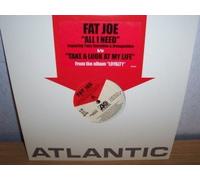 Fat Joe - All I Need/Take a Look at My Life