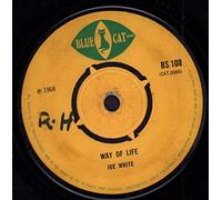 Fat Joe & Big L - Way of Life [Vinyl Single]
