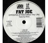 Fat Joe - Opposites Attract [Vinilo]