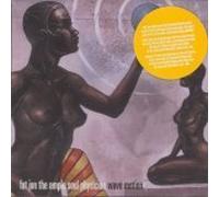 Fat Jon The Ample Soul Physician - Wave Motion