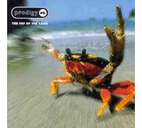 Fat of The Land [Musikkassette] [UK Import]