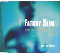 Fatboy Slim - Everybody Needs a 303 (RMX) [Import]