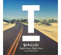 Fatboy Slim - Here, Right Now (Camelphat Remix) [Import]