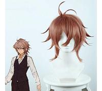Fate/Apocrypha Sieg Cosplay perruque de haute qualité marron court résistant à la chaleur cheveux synthétiques pour Anime Costume fête perruques KUZ235H