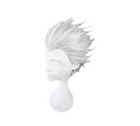 Fate Stay Night Go Extra Archer Emiya Perruque courte argentée résistante à la chaleur Cheveux synthétiques Anime Cosplay Perruque + bonnet de perruque