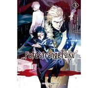 FATE STRANGE FAKE 3
