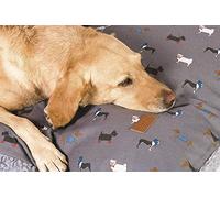 FATFACE Flying Birds Couette Profonde Durable pour Chien/Chiot Bleu Sarcelle Taille M