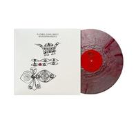 Father John Misty - Mahashmashana Ink and Haze Vinyl 2LP (Poster and Booklet), Father John Misty
