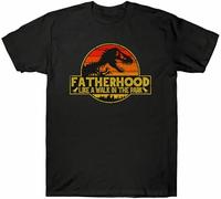 Father's Fatherhood Tee T-T-Shirts à Manches Courtes Retro Day Like Gift Men's in Park A Walk Dad The(Large)