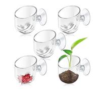 Fatiya Lot de 5 supports de plantes d'aquarium transparents avec ventouse, en acrylique transparent à suspendre, mangeoire pour poissons et crevettes pour décoration de paysage aquatique