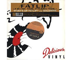 Fatlip - What's Up Fatlip/Goldmine