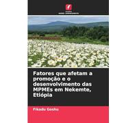 Fatores que afetam a promoção e o desenvolvimento das MPMEs em Nekemte, Etiópia