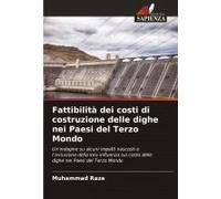 Fattibilità Dei Costi Di Costruzione Delle Dighe Nei Paesi Del Terzo Mondo
