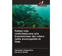 Fattori Che Contribuiscono Alla Trasmissione Del Colera Nella Municipalità Di Tete