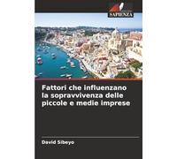 Fattori che influenzano la sopravvivenza delle piccole e medie imprese