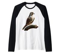 Faucon Crécerellette Chasse au Faucons Pèlerin Faucon Manche Raglan