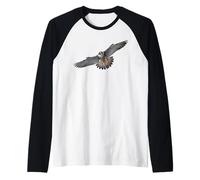 Faucon pèlerin en vol 1 Manche Raglan