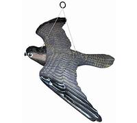 Faucon pèlerin volant - Dispositif anti-oiseau