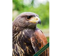 Fauconnerie: Buse du désert, Harris Hawk, Buse. Format A5, 120 pages, doublé gris discret. Entrées quotidiennes, notes et journal, carnet de notes et ... les amis de la nature et les oiseaux.