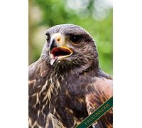 Fauconnerie: Buse du désert, Harris Hawk, Buse. Format A5, 120 pages, doublé gris discret. Entrées quotidiennes, notes et journal, carnet de notes et ... les amis de la nature et les oiseaux.