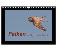 Faucons en vol et en portrait, Version française (Calendrier mural 2026 DIN A4 portrait), Calendrier CALVENDO mensuel