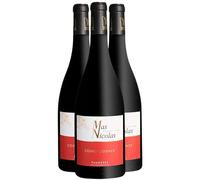 Faugères Coing'cidence - Rouge 2021 - Mas Nicolas - Vin Rouge du Languedoc - Roussillon (3x75 IO