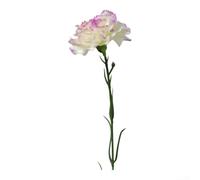 Fauhapyway 5 Roses Artificielles Soie 8cm Bouquet Décoration | Soie douce, aspect réaliste, pour eau ni entretien, pour couleur vive pour durable, pour idéal décoration (Purple edge)