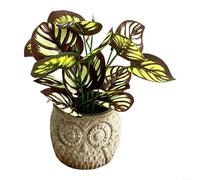 Fauhapyway Lierre artificiel dans un pot fantaisiste, 4 branches, pour décoration de maison, bureau, bonsaï artificiel nécessitant peu d'entretien, 16,5 cm, vert (blanc et marron)