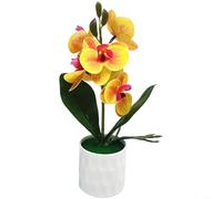 Fauhapyway Phalaenopsis Orchidée artificielle Bonsaï 6 fleurs réalistes 26 cm Plante décorative en film plastique (jaune)
