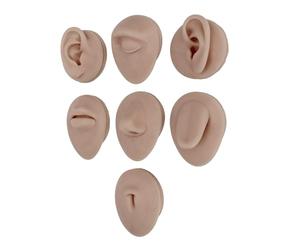 Fauitay Modèle de Parties du Corps en Silicone pour la Pratique, Modèle Humain 3D Souple et Flexible avec Yeux, Oreilles, Nez, Bouche, Langue, Nombril pour L'enseignement, Affichage (Teint foncé)