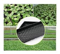 Fauitay Plateaux de Culture pour Plantes, Lot de 2, 21,3 X 11 Pouces, | Kit de Germination en Plastique, pour Micropousses Herbes Fleurs, Couvercle Transparent pour le Contrôle de l'humidité,