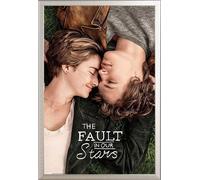 Fault In Our Stars, The - Poster - One Sheet + cadre amovible, Shinsuke® Maxi aluminium argenté, vitre acrylique
