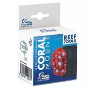 Fauna Marin Coral Mount