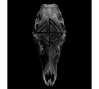 Fauna The Hunt (Vinyl) 12" Album