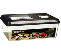 Faunarium-Terrarium L Exo Terra plat idéal pour le transport ou l'entreposage des plantes (46X31X17,5 cm)