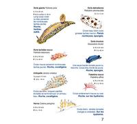 Faune et flore en Méditerranée, Guide immergeable