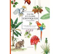 Faune et flore exotiques à colorier